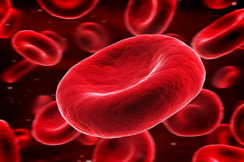 6 cách tăng chất lượng máu giúp khỏe mạnh, sống lâu